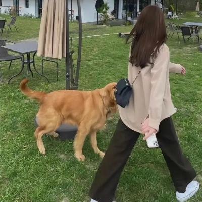 我的疯狂书迷